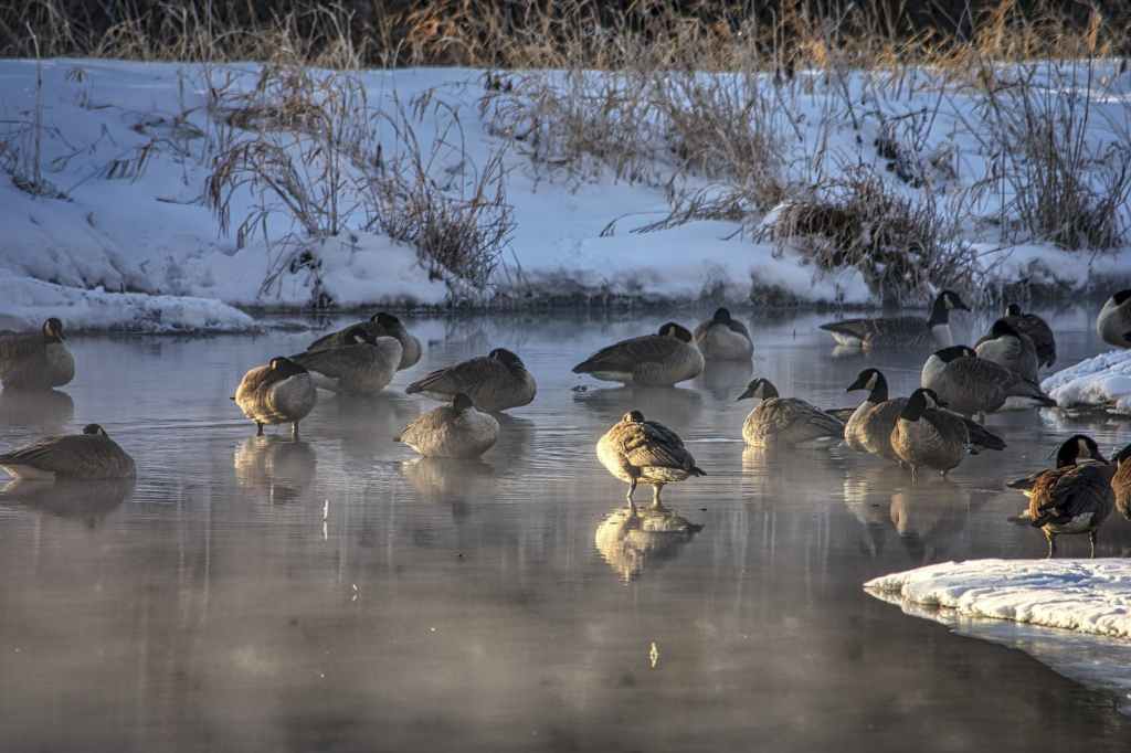 Jan 7: Milwaukee&nbsp;Lakefront
